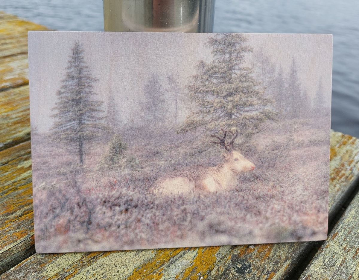 MORNING OF THE REINDEER