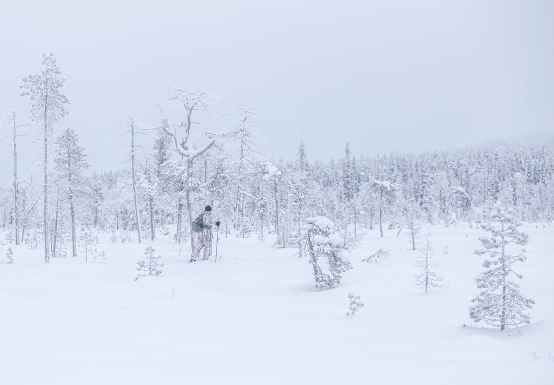 Lappilainen jänkämaisema helmikuisessa lumisatheessa