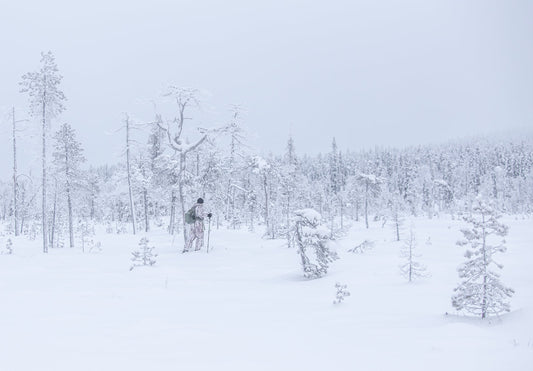 Lappilainen jänkämaisema helmikuisessa lumisatheessa