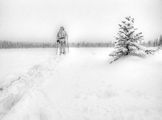 Metsäsuksiretkellä