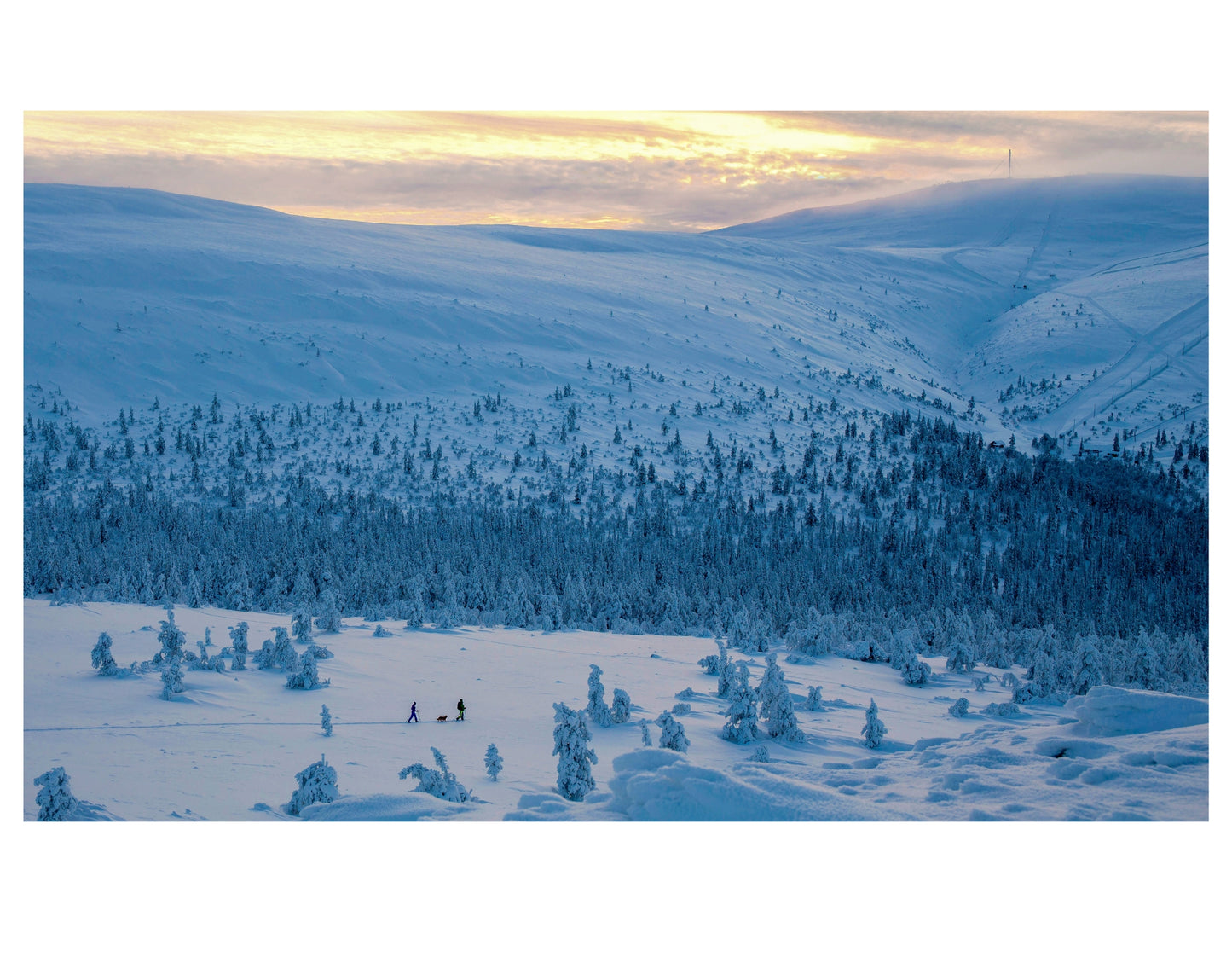 KAAMOKSEN VAELTAJAT