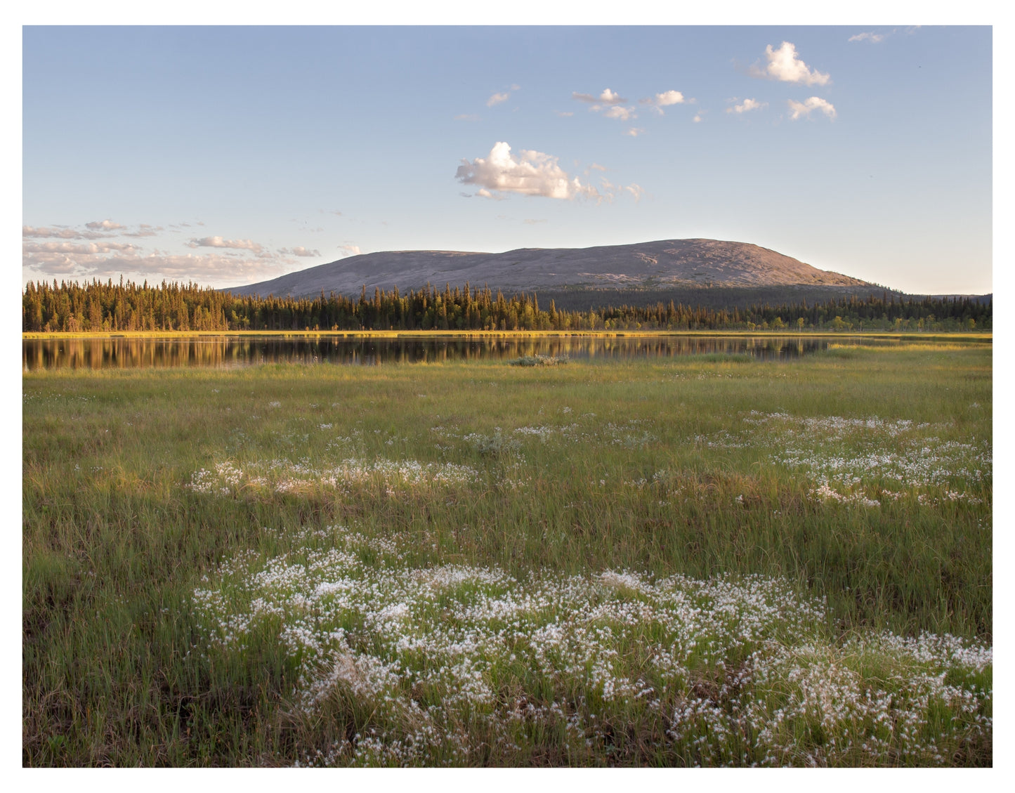 MEADOW WOOLS IN LAINIOLMPOLO