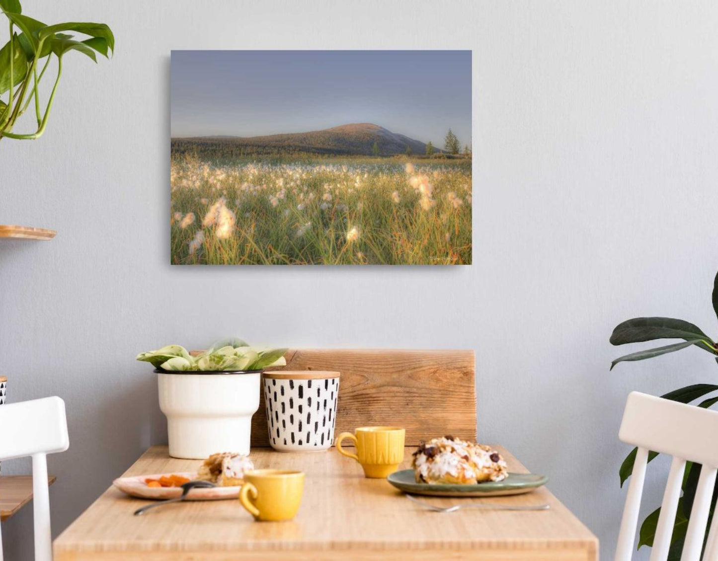 TUSSOCK GRASS ON A SUMMER NIGHT