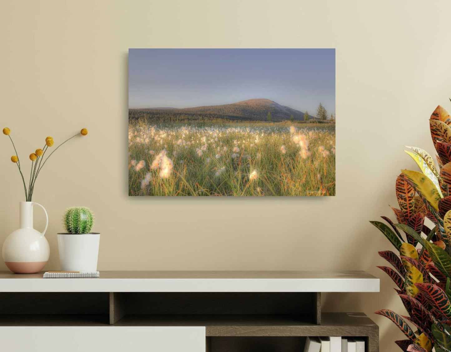 TUSSOCK GRASS ON A SUMMER NIGHT