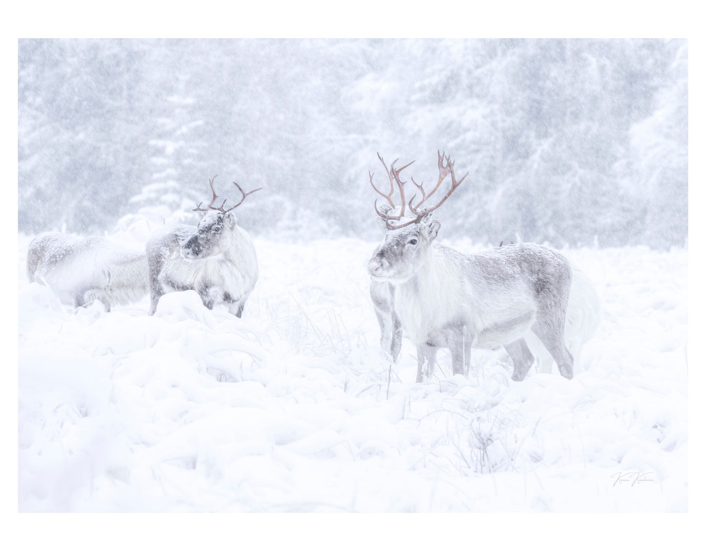 SOPEUTUJAT LUMISATEESSA